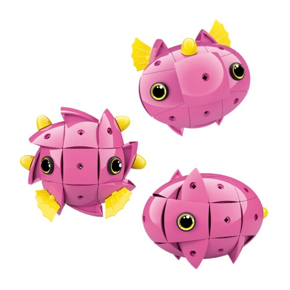 Dina de la collection Kor Tazoo sous plusieurs formes.