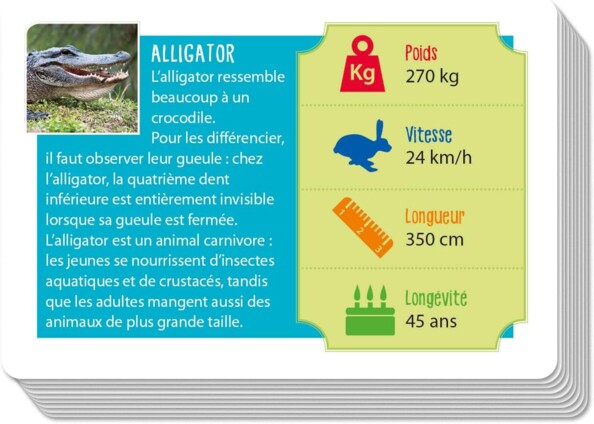 Incroyables Animaux - Jeu de cartes éducatif