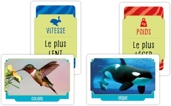 Incroyables Animaux - Jeu de cartes éducatif