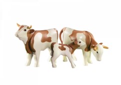 2 vaches avec veau 6356 vendu en sachet