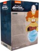 Dos boîte Avatar The Last Airbender Aang